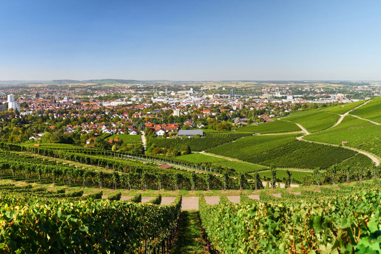 Blick aus den Weinbergen auf die Stadt Heilbronn – Porsche verkaufen in Heilbronn mit Elferhus.