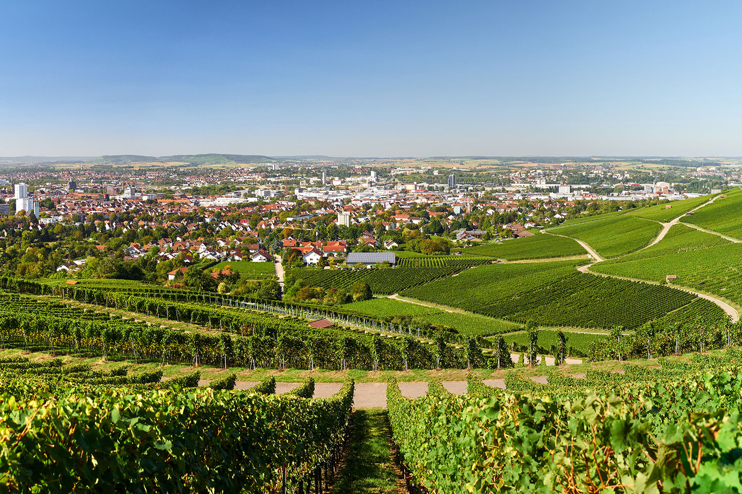 Blick aus den Weinbergen auf die Stadt Heilbronn – Porsche verkaufen in Heilbronn mit Elferhus.