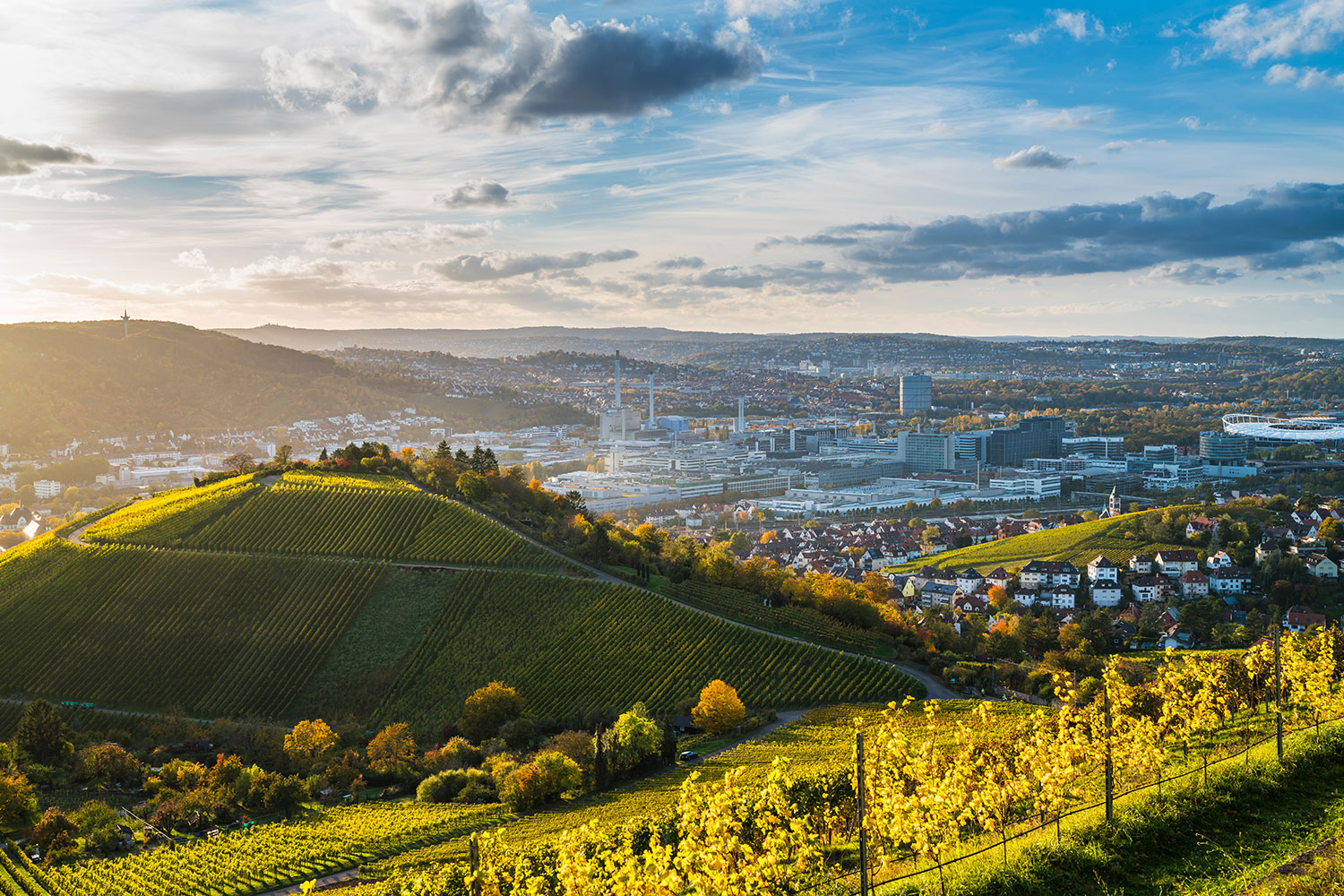 Blick aus den Weinbergen auf die Stadt Stuttgart – Porsche verkaufen in Stuttgart mit Elferhus.
